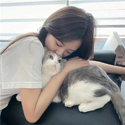 不能没有家 在线播放海报